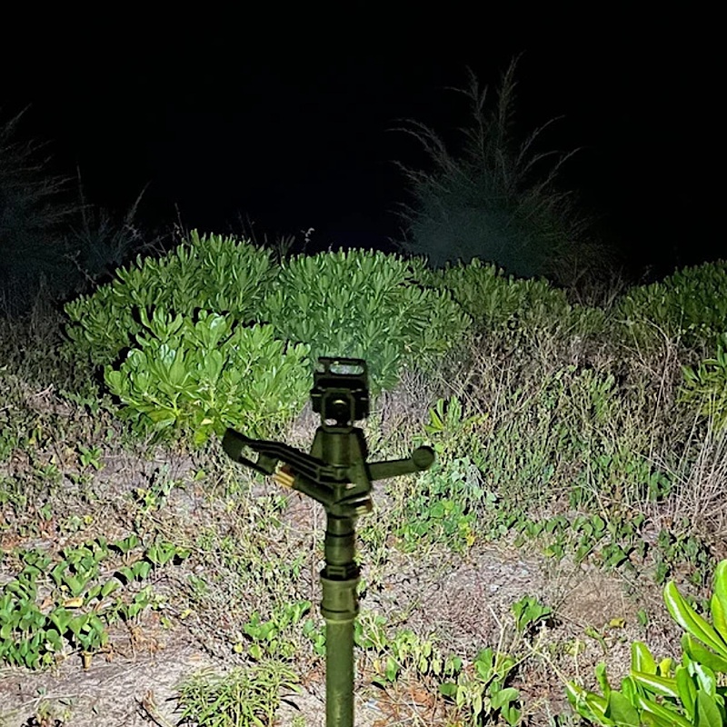 لامپ جیبی کمپینگ و کوهنوردی